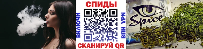 OMG tor Киржач Бутират буратино