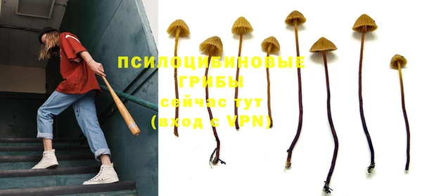 ALPHA PVP Заполярный