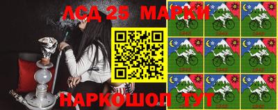 гашик Будённовск