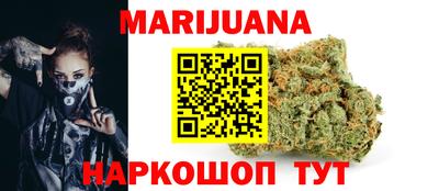 гашик Будённовск