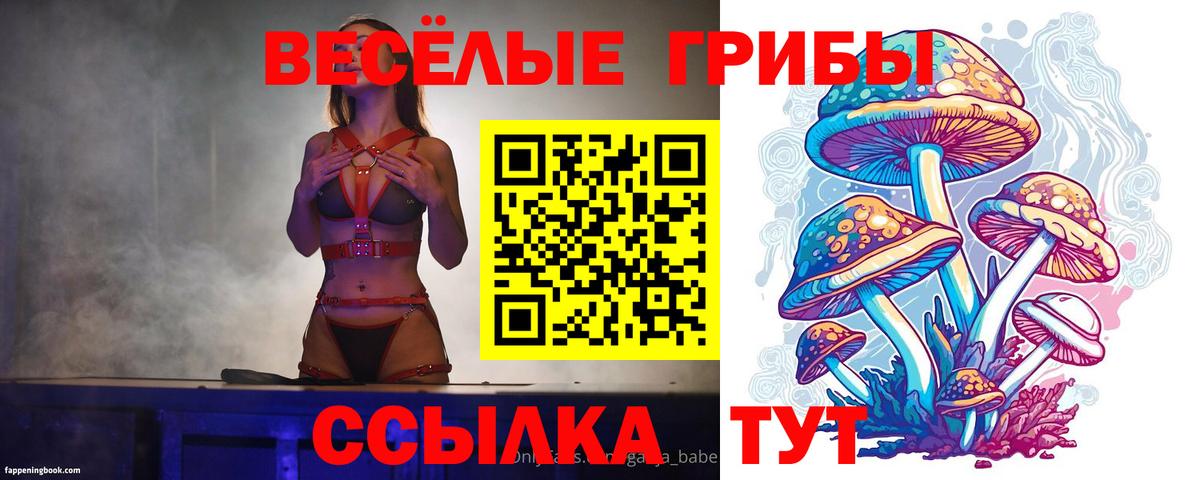 Галлюциногенные грибы MAGIC MUSHROOMS  Галлюциногенные грибы прущие грибы  закладка  Киржач  Вход с VPN 